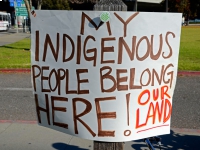 my-indigenous-people-belong-here.jpg