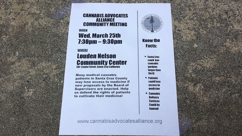 800_cannabis-advocates-alliance-flyer_3-24-15.jpg 