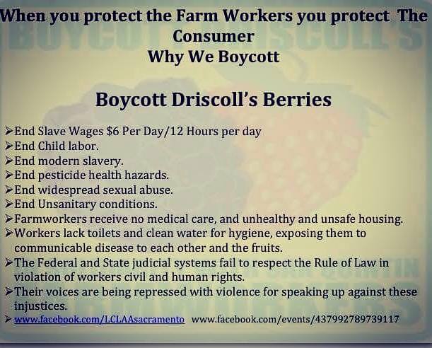 boycott_driscolls_berries.jpg 