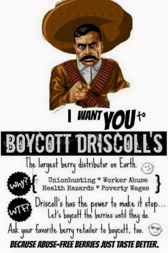 sm_i-want-you-to-boycott-driscolls.jpg 