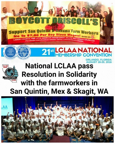 sm_national-lclaaa-boycott-driscolls.jpg 