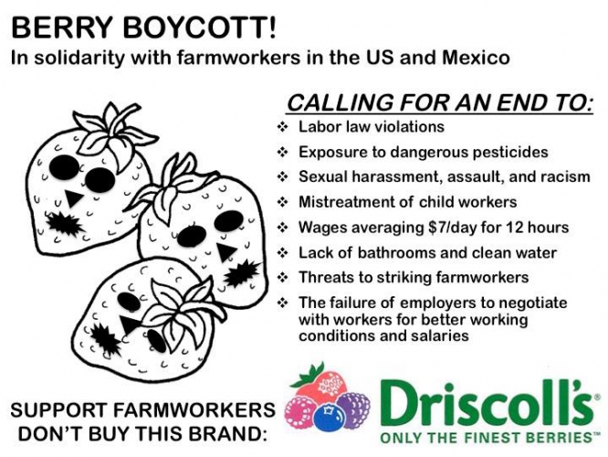 sm_support-farmworkers-boycott-driscolls.jpg 