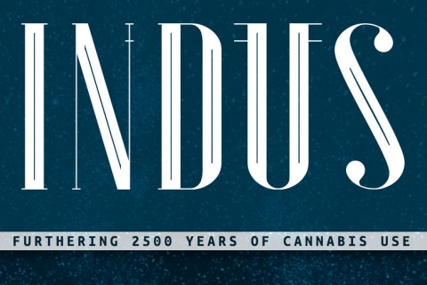 480_indus-holding-company-logo-furthering-2500-years-cannabis-use.jpg