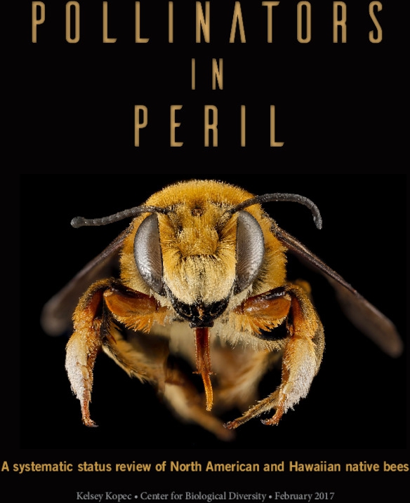 pollinators_in_peril.pdf_600_.jpg