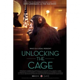 unlocking_the_cage_image.jpg 