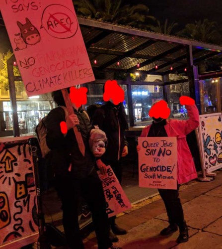 sm_protest_beaux_sf_and_pinkwashing.jpg 