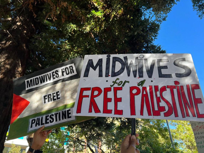sm_campesina_womb_justice_midwives-for-a-free-palestine.jpg 