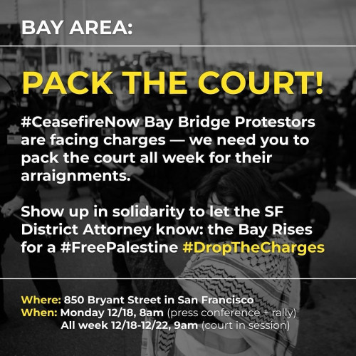 sm_pack_the_court_for_the_bay_bridge_78_ceasefire_protesters.jpg 