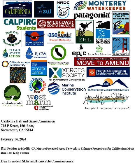sc-engo-letter-of-support-kelp-forest-petition-2023-33mpa.pdf_600_.jpg
