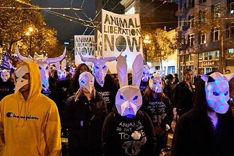 Halloween March for Animal Rights